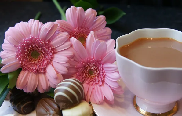 Picture flowers, tea, milk, candy