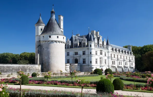 Picture castle, France, alley, France, Chateau de Chenonceau, Castles