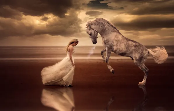 BLONDE, HORSE, The SKY, TAIL, CLOUDS, DRESS, MANE, REFLECTION