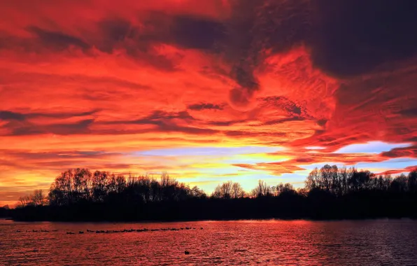 Picture the sky, water, clouds, trees, lake, silhouette, glow