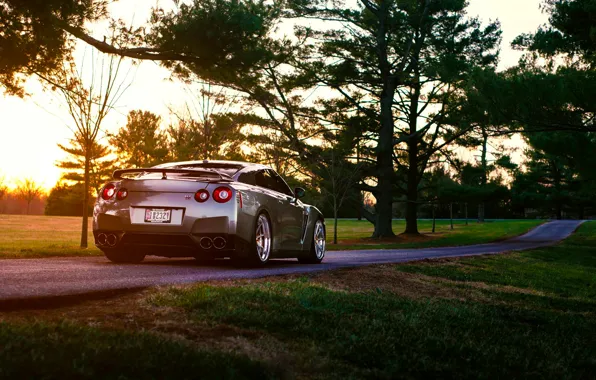 Picture Nissan, GT-R, Grass, Sun, Back, R35, Summer, Road
