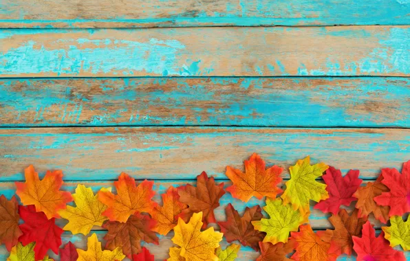 Picture autumn, leaves, background, tree, colorful, vintage, wood, background