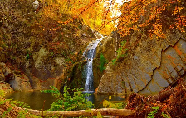 Waterfall, Autumn, Fall, Autumn, Waterfall