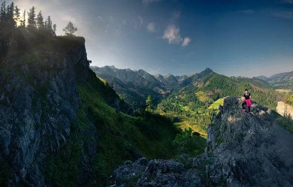 Forest, the sun, rays, landscape, mountains, nature, rocks, valley