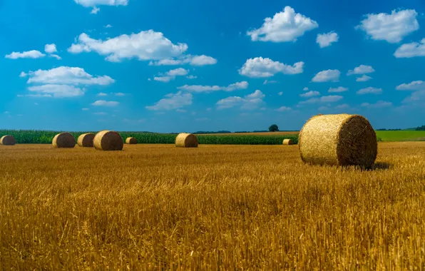 Field, hay, straw, bales