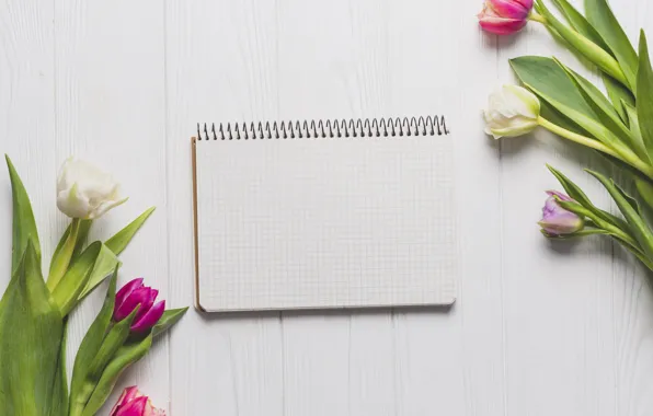 Flowers, Board, spring, colorful, tulips, wood, pink, flowers