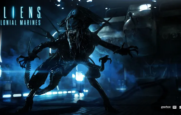 Picture monster, stranger, queen, Aliens Colonial Marines, uterus