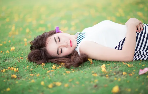 Flower, stay, green grass, foliage, sleep, Asian, flower, sleep