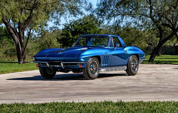 Corvette, Chevrolet, Chevrolet, 1965, Stingray, Corvette