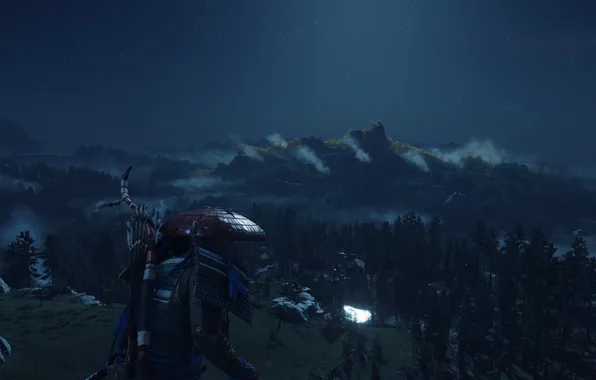 Trees, night, the game, mountain, game, nature, night, tree