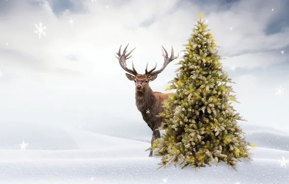 Winter, the sky, clouds, snow, snowflakes, fog, rendering, deer