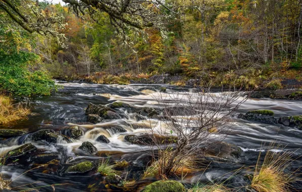 Picture landscape, nature, stream, beauty