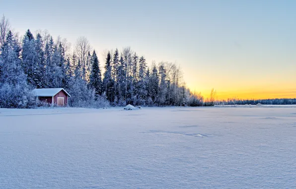 Picture winter, forest, house, Winter