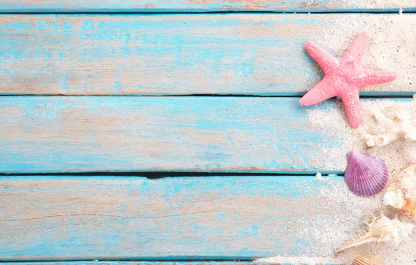 Sand, beach, star, shell, summer, beach, wood, sand
