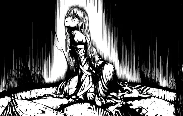 Picture look, girl, light, anime