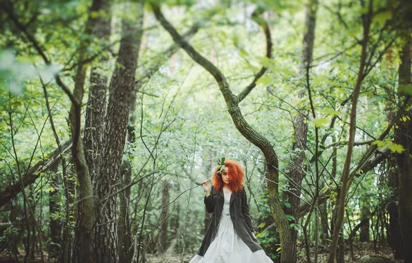 Picture forest, girl, red