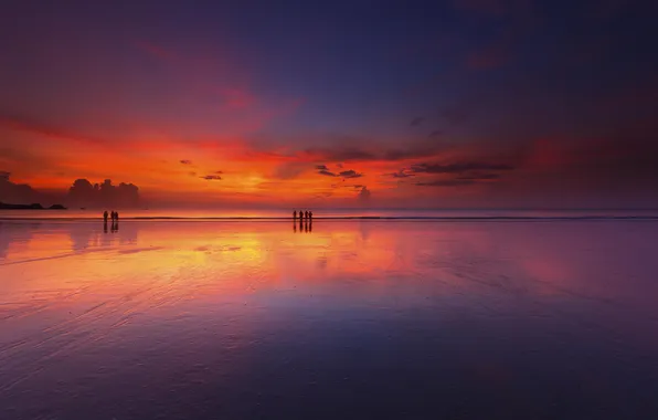 Beach, landscape, sunset, the ocean, horizon