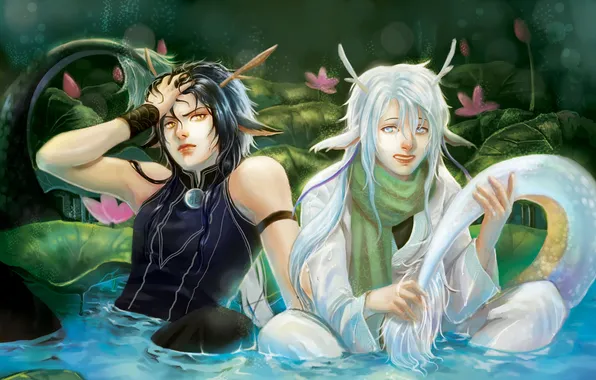 Water, flowers, scarf, tails, Guys