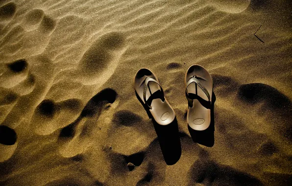 Picture sand, beach, sneaker, Golden, dune