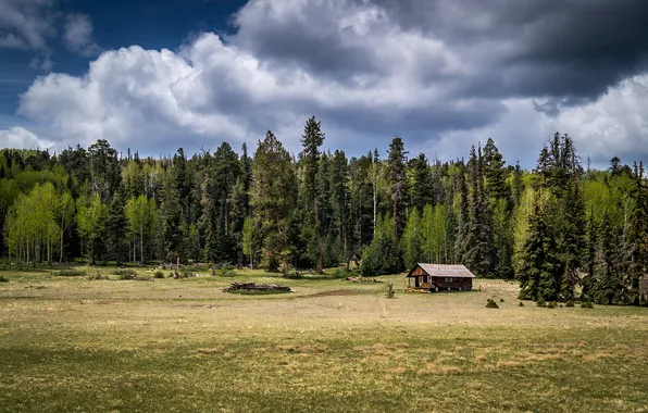 Forest, the sky, clouds, trees, house, USA, Arizona, White Mountains