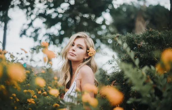 Picture girl, flowers, blonde