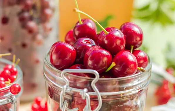 Glass, cherry, berries, Bank, cherry, bokeh