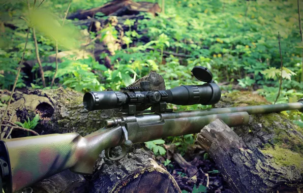 Spring, sniper, rifle, sniper, rifle, 2016, M24