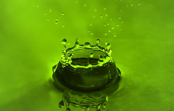 Macro, squirt, drop, liquid, green