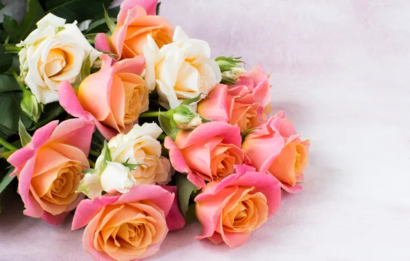 Roses, bouquet, petals, gentle, buds, LAIMDOTA GRIVANE