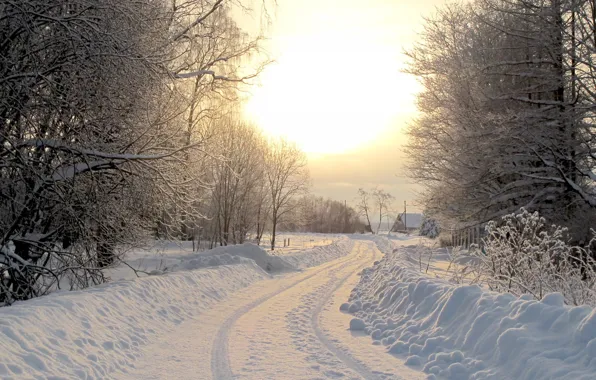 Winter, road, village, winter road
