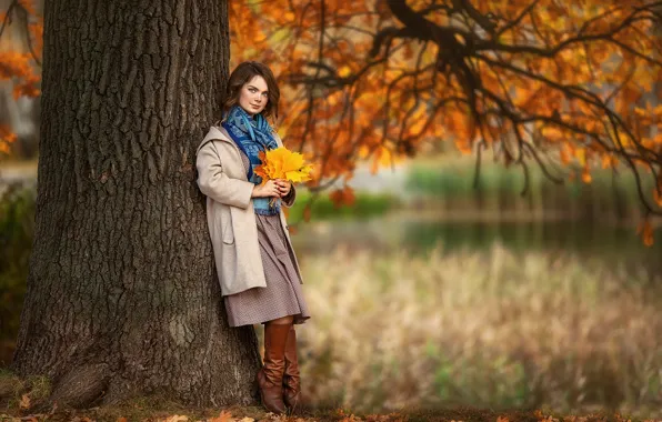 Picture autumn, look, leaves, girl, trees, nature, pose, Park