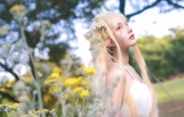 Beautiful, Asian, Model, Tree, Woman, Elf, Pretty, White Hair