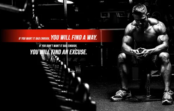 Muscle, muscle, motivation, poster, pose, dumbbells, gym, motivation