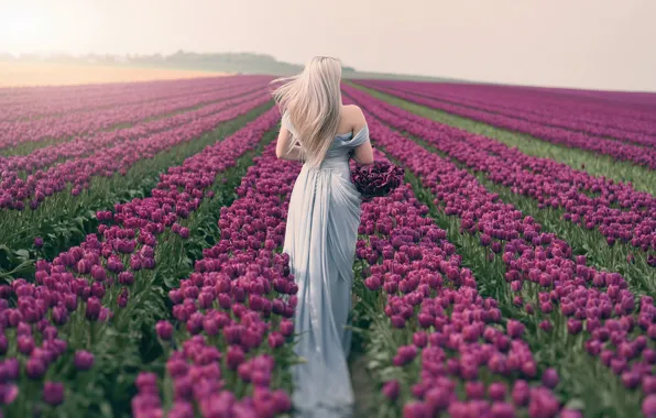 Picture field, girl, spring, tulips