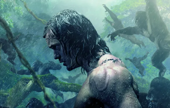 Lost, Action, Fantasy, Nature, The, Legend, Mountains, Boy