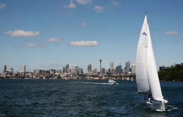 The city, Australia, Sydney, boats, tower, skyscrapers, Australia, Sydney