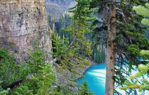 Trees, mountains, lake, Canada