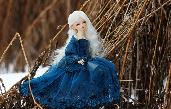 Winter, doll, dress, blonde
