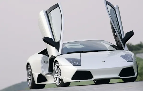 Picture view, Lamborghini, door, cars, white, Lamborghini, road white, murcilago