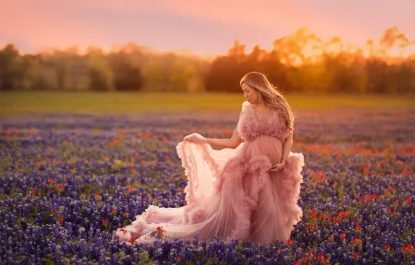 Field, the sky, light, sunset, flowers, pose, mood, woman