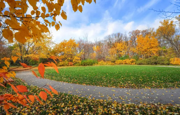 Picture autumn, the sky, leaves, trees, Park, the crimson