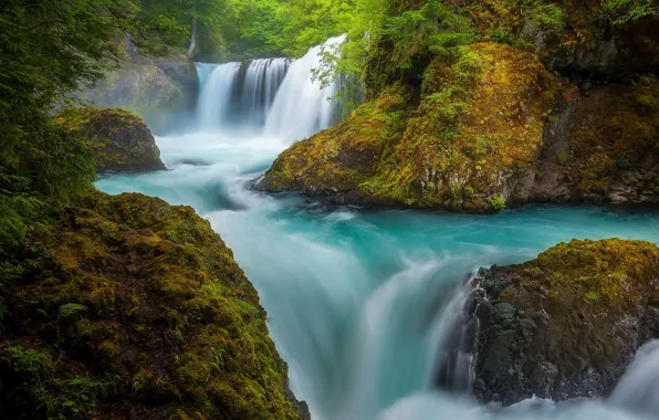 Forest, nature, river, stones, rocks, threads