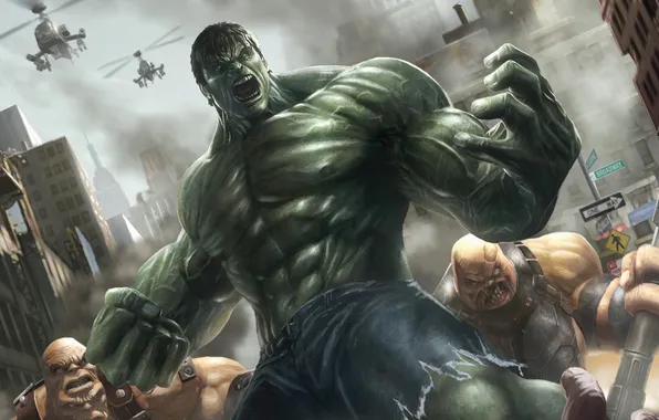 Picture rage, Hulk, Hulk