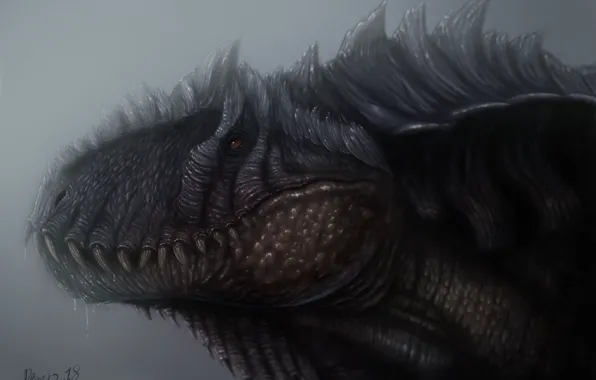 Face, monster, dinosaur