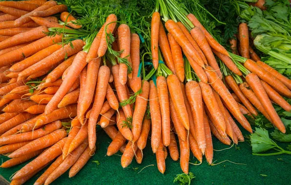 Harvest, carrots, a lot, juicy, fresh, bundles