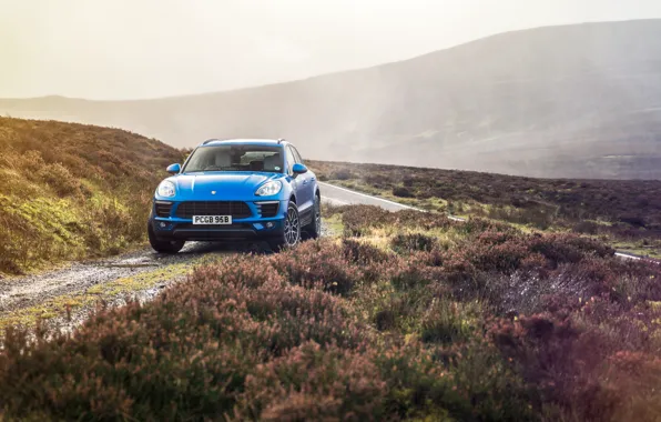 Picture road, hills, Porsche, crossover, Diesel, Macan S