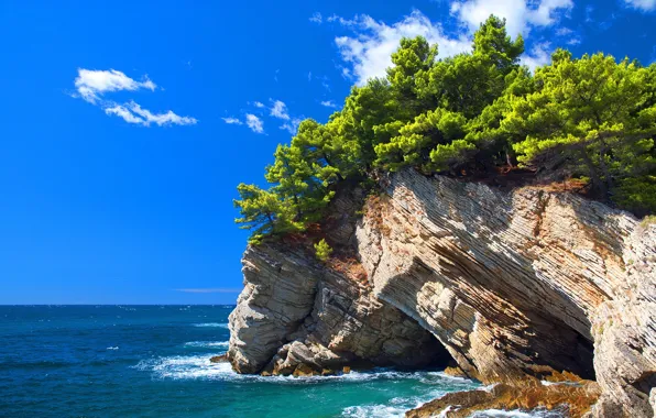 Sea, the sky, clouds, trees, rock