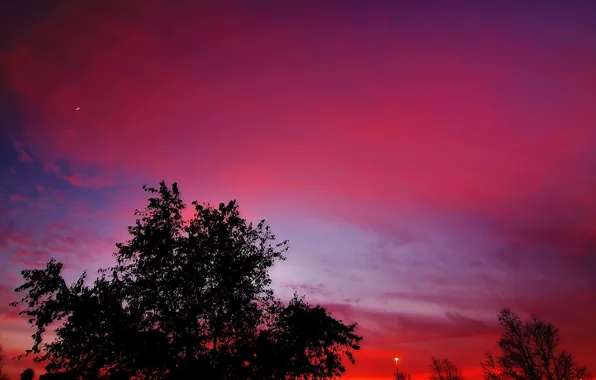 Picture sunset, red, the moon, The evening