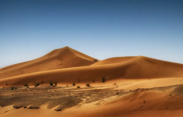 Sand, grass, nature, desert, dunes, dune, the sky., dunes
