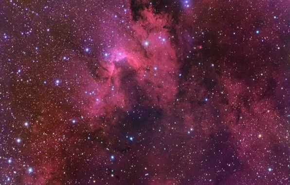 Picture Nebula, Tsefey, NGC 7538